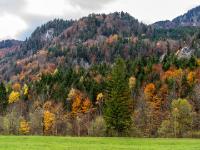 Herbstimpression aus dem Priental